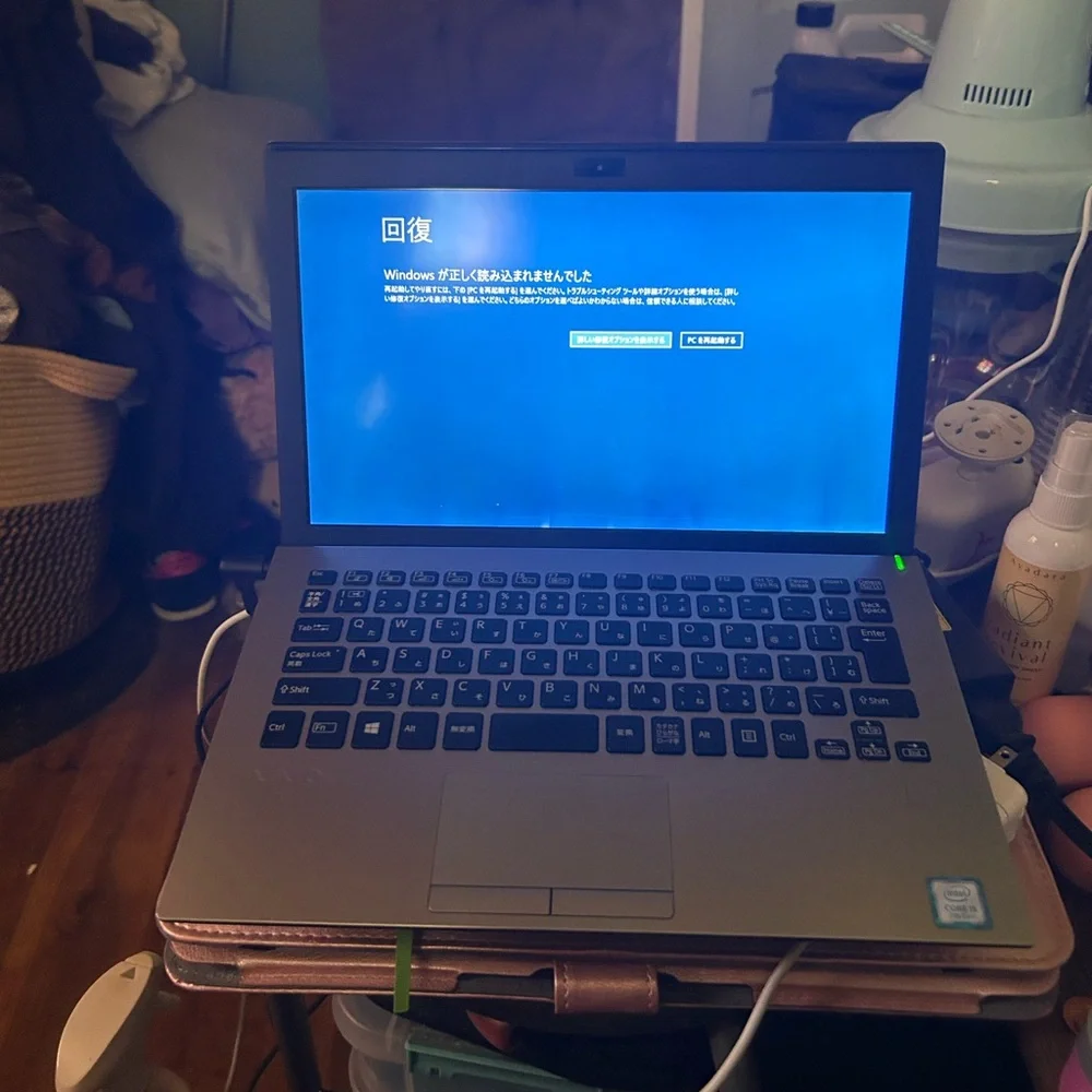 Sony VAIO Sleek Silver Laptop